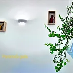 Le Pavoncelle Sarde فندق مبيت وإفطار