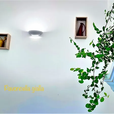 Le Pavoncelle Sarde Bed & Breakfast