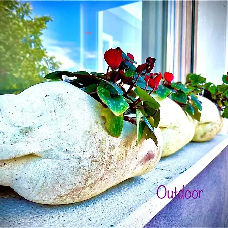 Le Pavoncelle Sarde Couette-café 4*