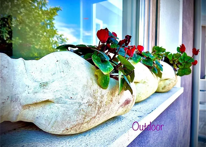 Le Pavoncelle Sarde Bed & Breakfast 4*